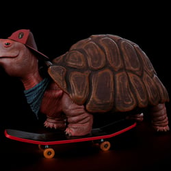 turtle 2