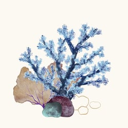 Underwater Love 02
