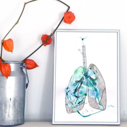 Lungs