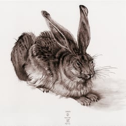 Feldhase; Studie nach Albrecht Dürer – Tusche, Pinsel auf Aquarellpapier