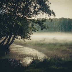 Naturfotografie Sachsen