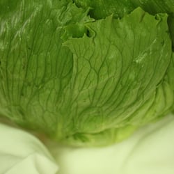 Eisbergsalat Nov. 2012