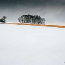 Schneelandschaft