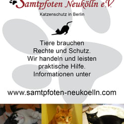 Anzeige für die Berliner Woche (Neukölln Nord)