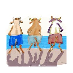 Sommerkühe