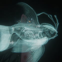 Sci-Fi-Holographischer Koi-Fisch