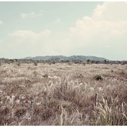 LANDSCAPE .01