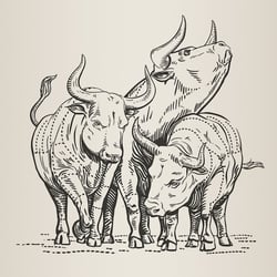 Metzger Pinot Tauren – Wein Etikett Illustration