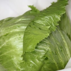 Eisbergsalat Nov. 2012