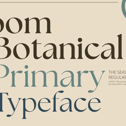 Typeface 01