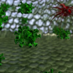 (Corona)Virus
