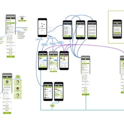 dr-hachiko app