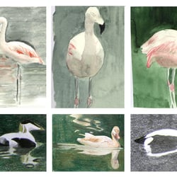 watercolour sketch