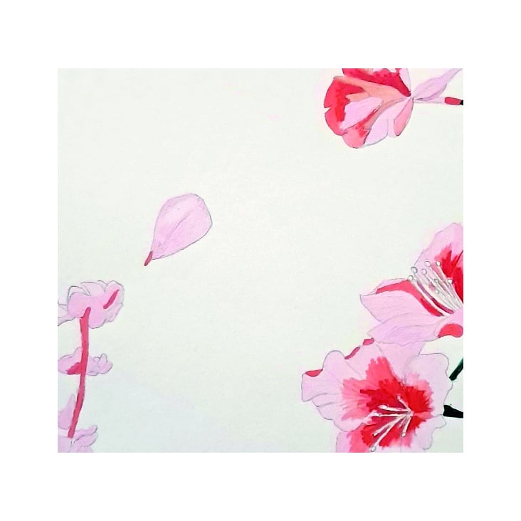 Illustrations Josefina Costa-01