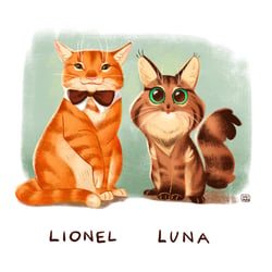 meet my cats