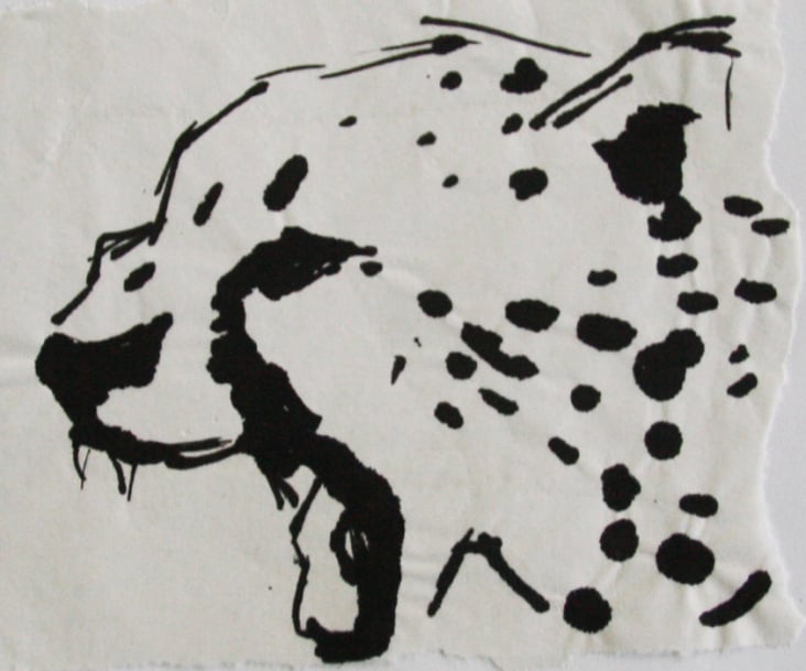 Illustrationen