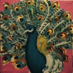 Pfau