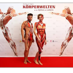 Körperwelten