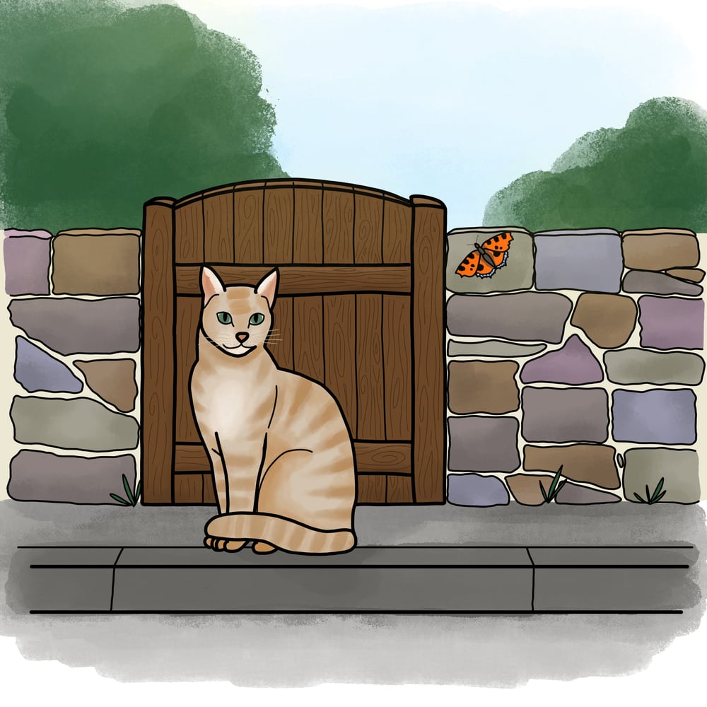 Szene Katze auf der Straße