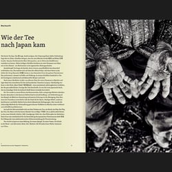 Teatrip Japan – Auf den Spuren des grünen Goldes