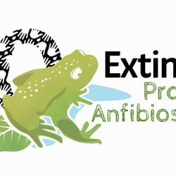 Conservation project graphic identity
