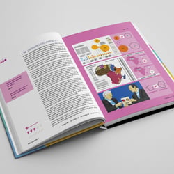 Praxisbuch Infografik