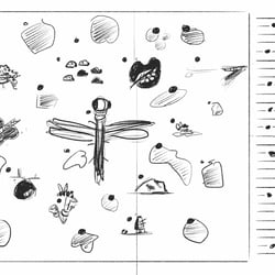 Infografik Poster „Die Welt der Insekten“- Skizze