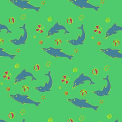 delfin2