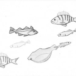 Fische