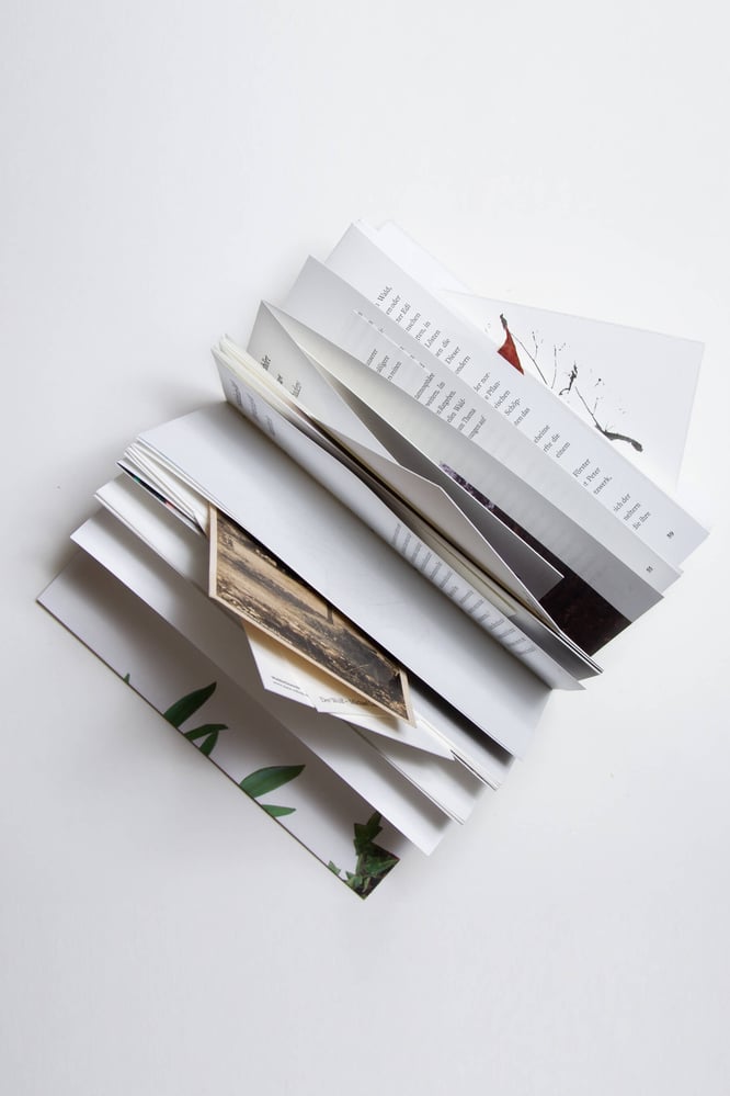 Conceptual Book Design