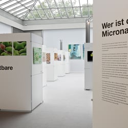 Oeggerli – Microcosmos