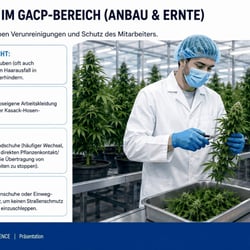 Didaktische Visualisierung von Bekleidungs- und Hygieneregeln für Anbau und Ernte im GACP-Bereich.