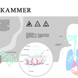 Infografik „Gaskammer“