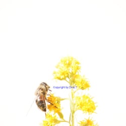Nature 2014 – Foto Übung