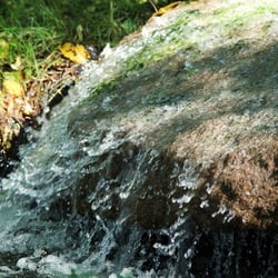 Kleine Wasserquelle