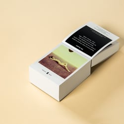 Photodarium Private 2017
