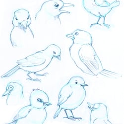 Character Design/Studie Animationsprojekt