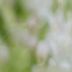 Lichtbilder neu (1 von 18)
