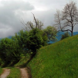 Kochel-Walchensee