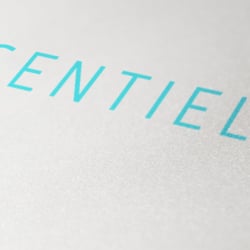 Diseño de logotipo de la línea ESSENTIELLE para la firma de cosmética internacional ATACHE s.a.