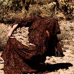 Desert Snake