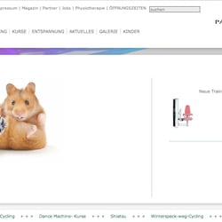 Flash-Animation Homepage