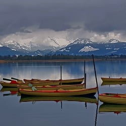 Pfäffikersee