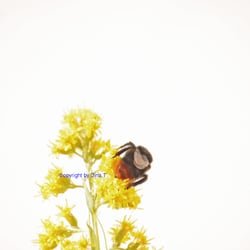 Nature 2014 – Foto Übung