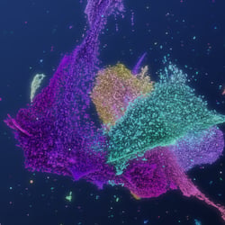 Disney Concert Hall Exhibition – WDCH Dreams by Refik Anadol – Audio Cloud