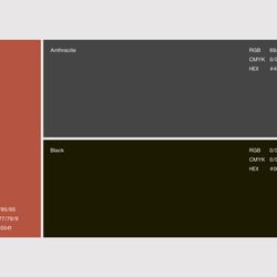 Color Scheme