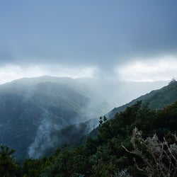 Madeira