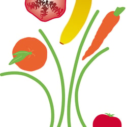 Logo für Ernährung & Gesundheit