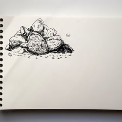 Felsen Studien