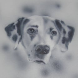 DSCN3151